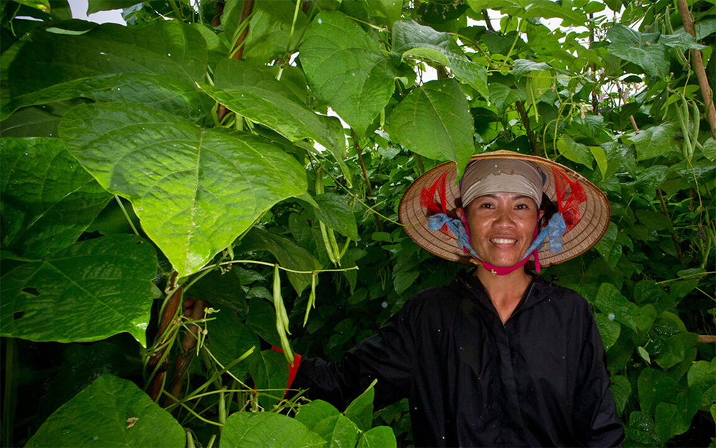 ​​Promoting Rural Development and Food Security​ 